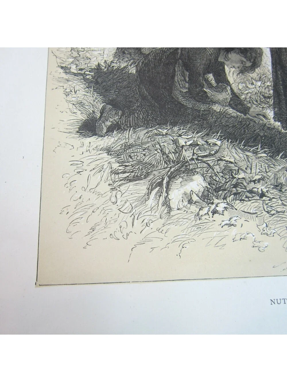 Antique 1873 Wood Engraving Print Nutting by John S. Davis, The Aldine, Children